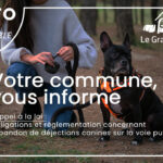 obligations-rappel-loi-abandon-dejections-canines-sur-vp