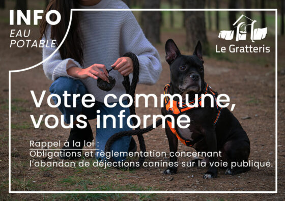 Règles et obligations concernant l’abandon de déjections canines sur la voie publique.