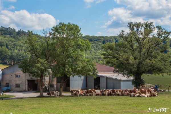 mairie-le-gratteris-commune-village65