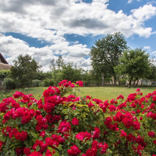 mairie-le-gratteris-commune-vue-village33